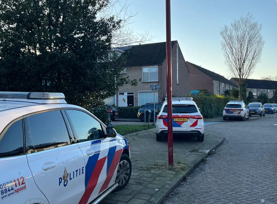 schermafbeelding 2025 02 01 om 190053