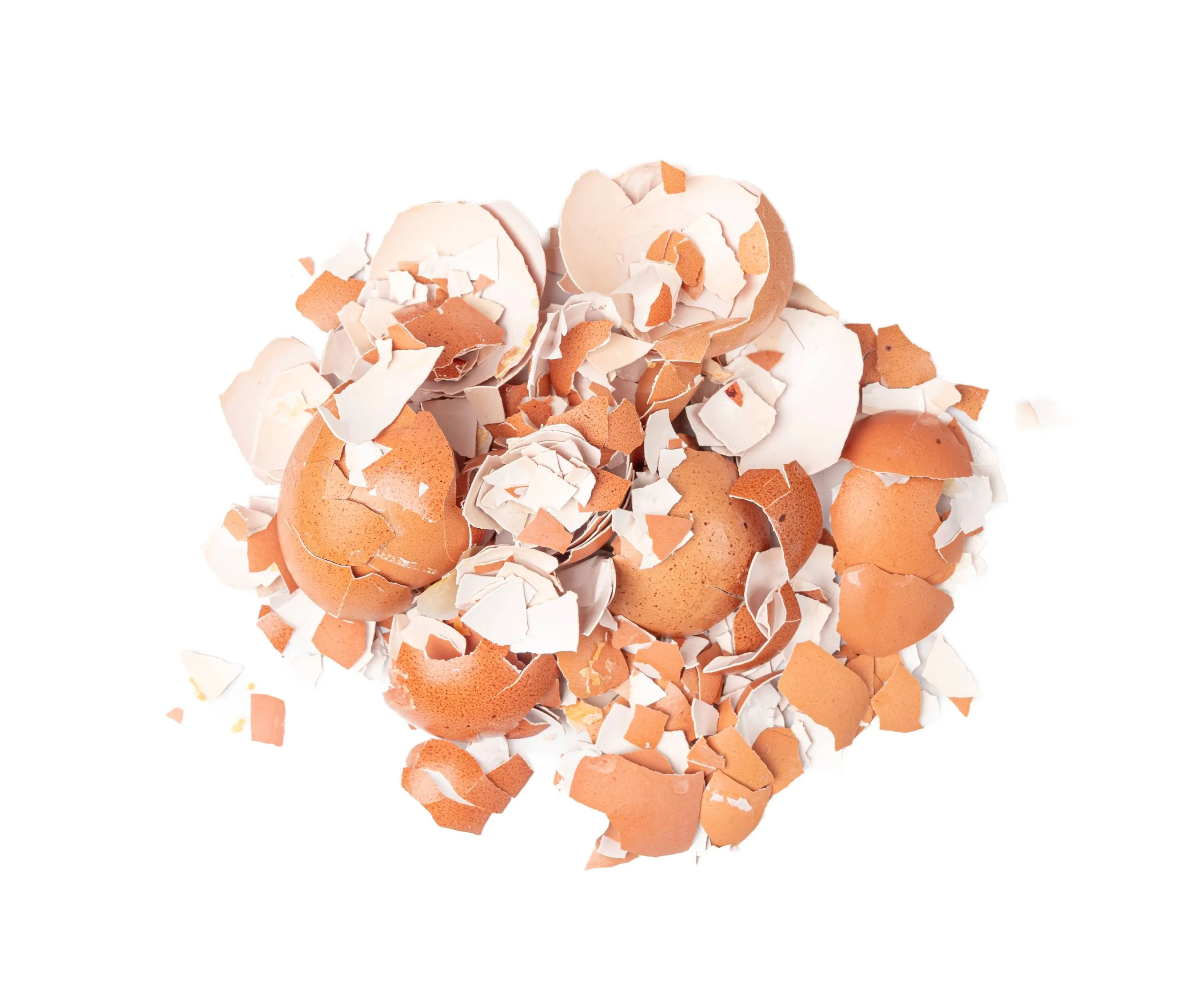 shutterstock 2573687191