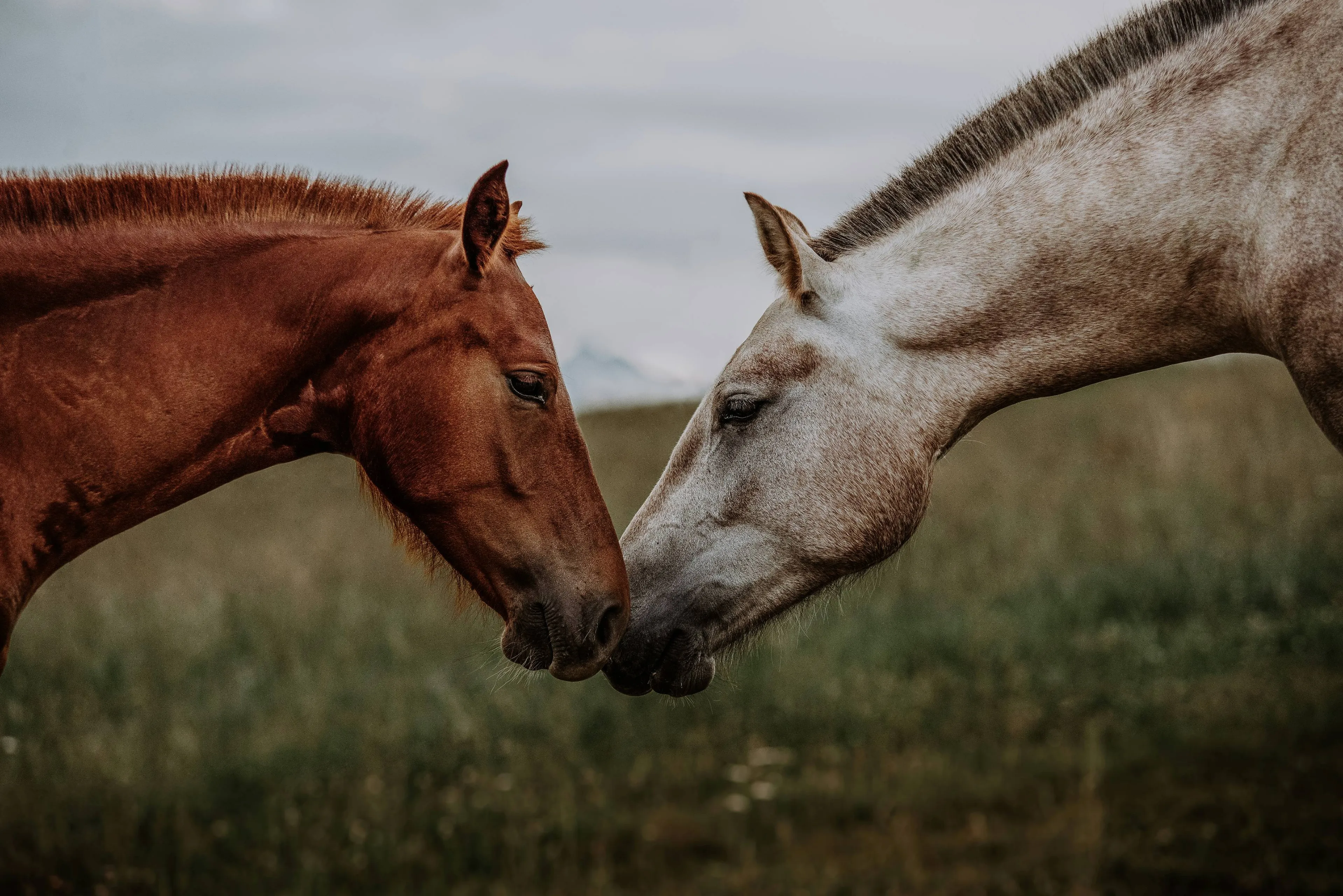 lara baeriswyl nehj2xya174 unsplash