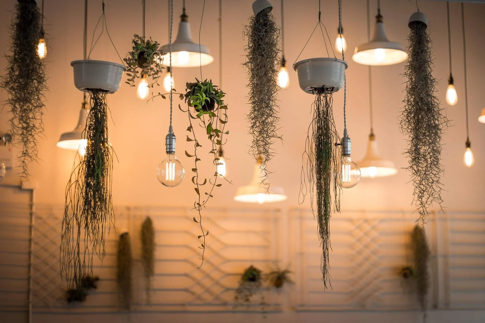 lights 1867437 1920