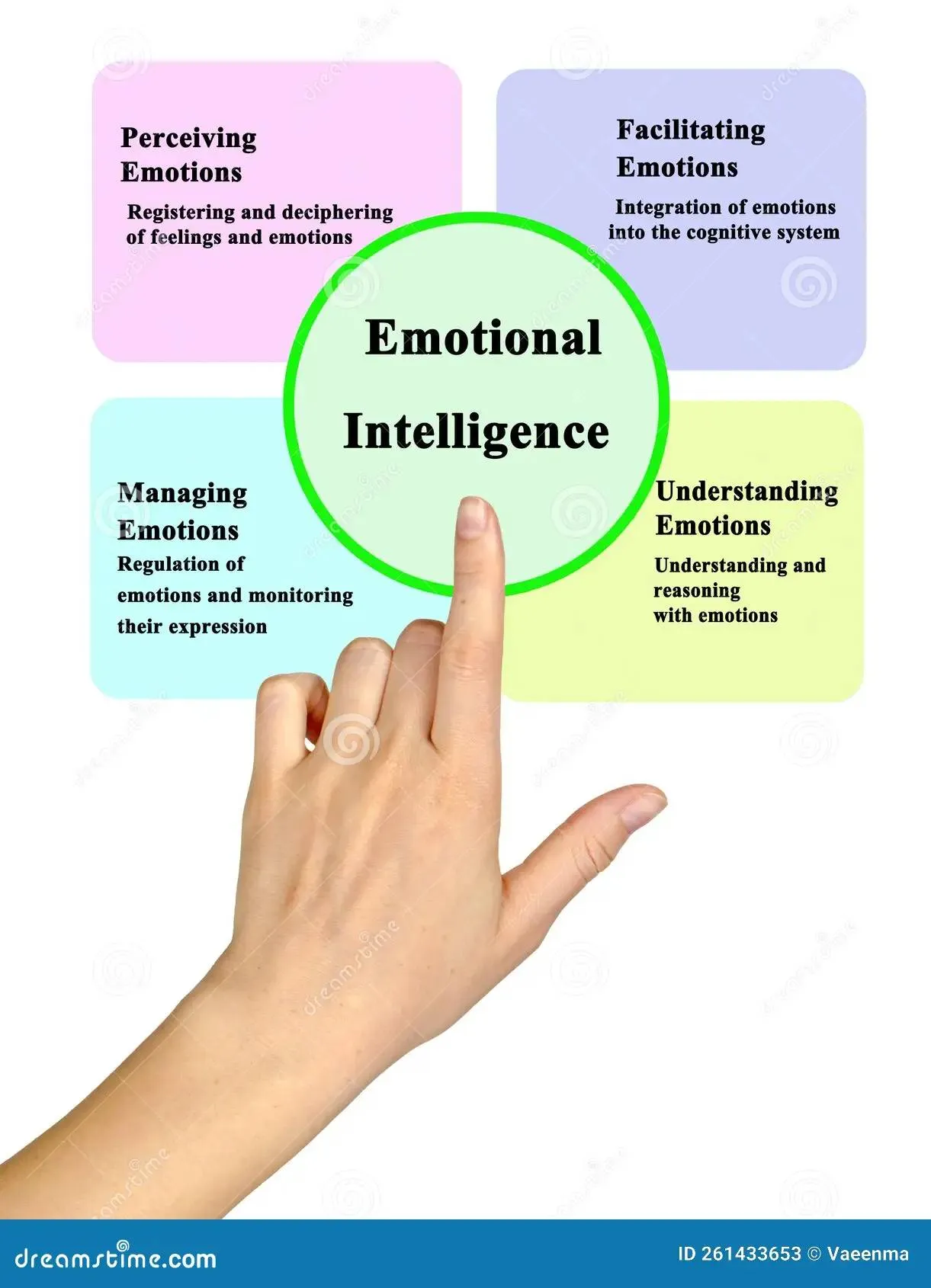 componenten-van-emotionele-intelligentie-vier-261433653