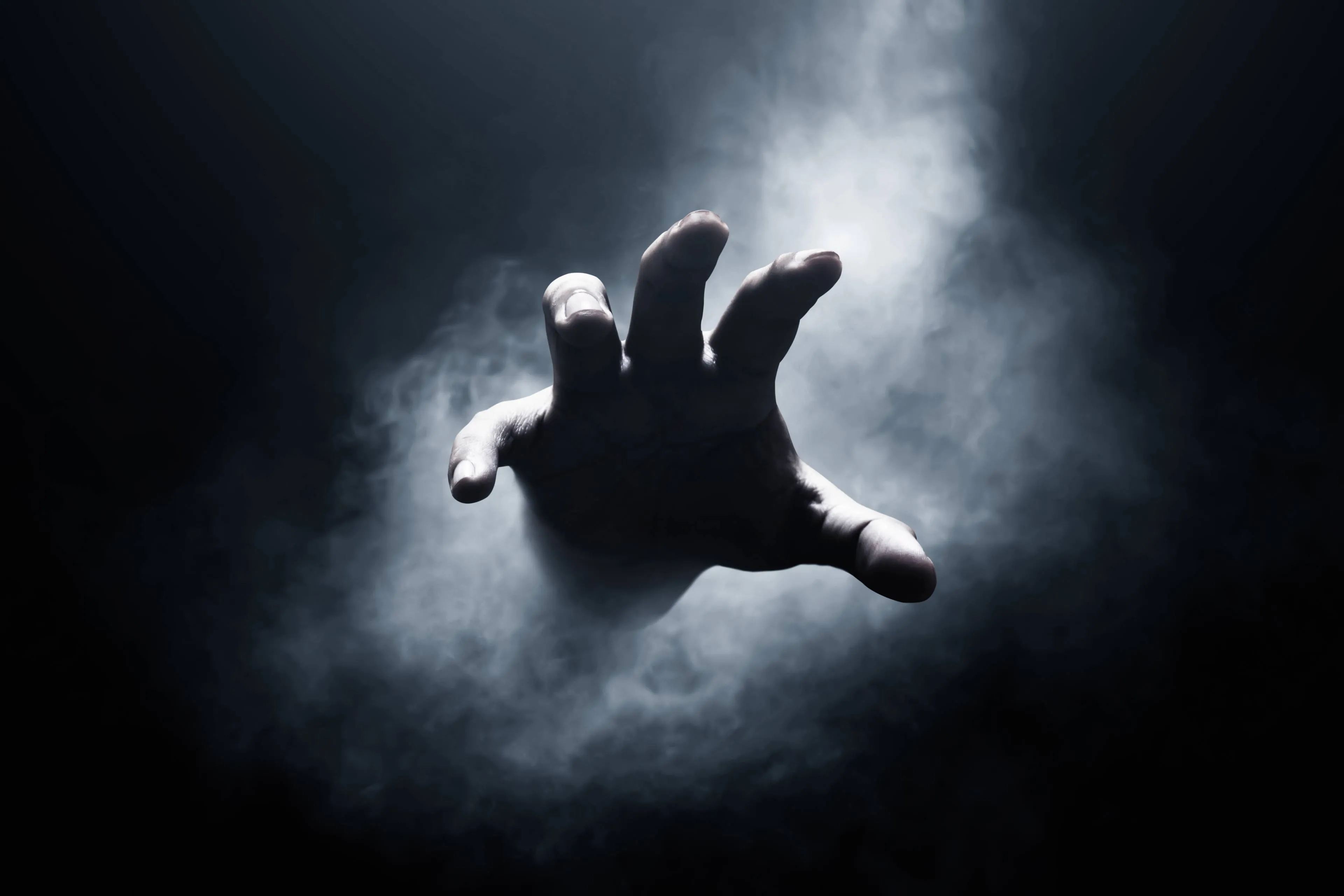shutterstock_2195622815