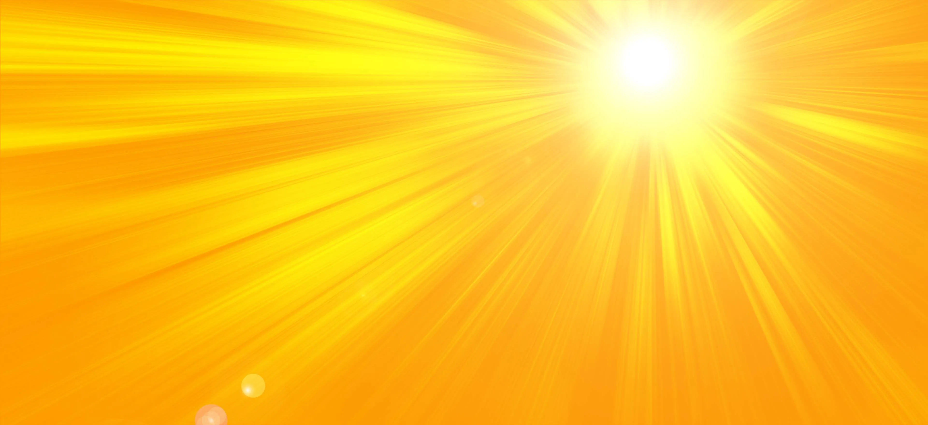 shutterstock_1460411408
