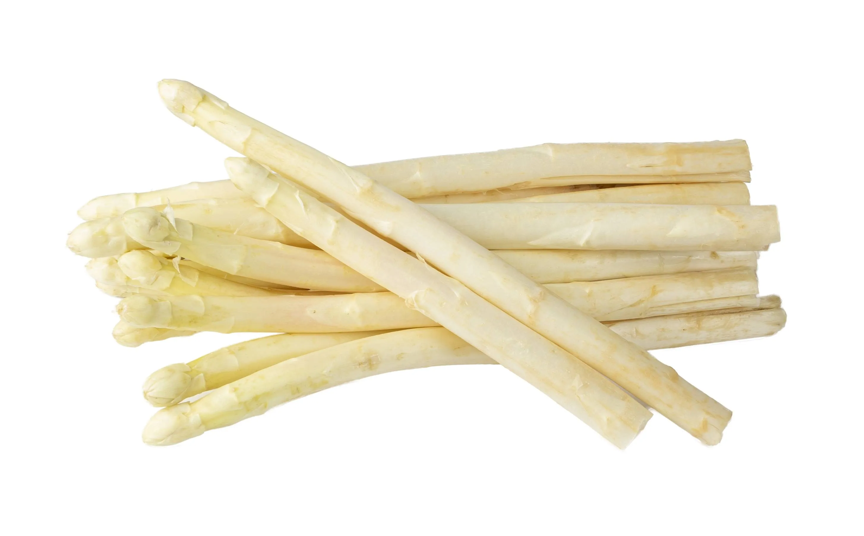 shutterstock_2592444413