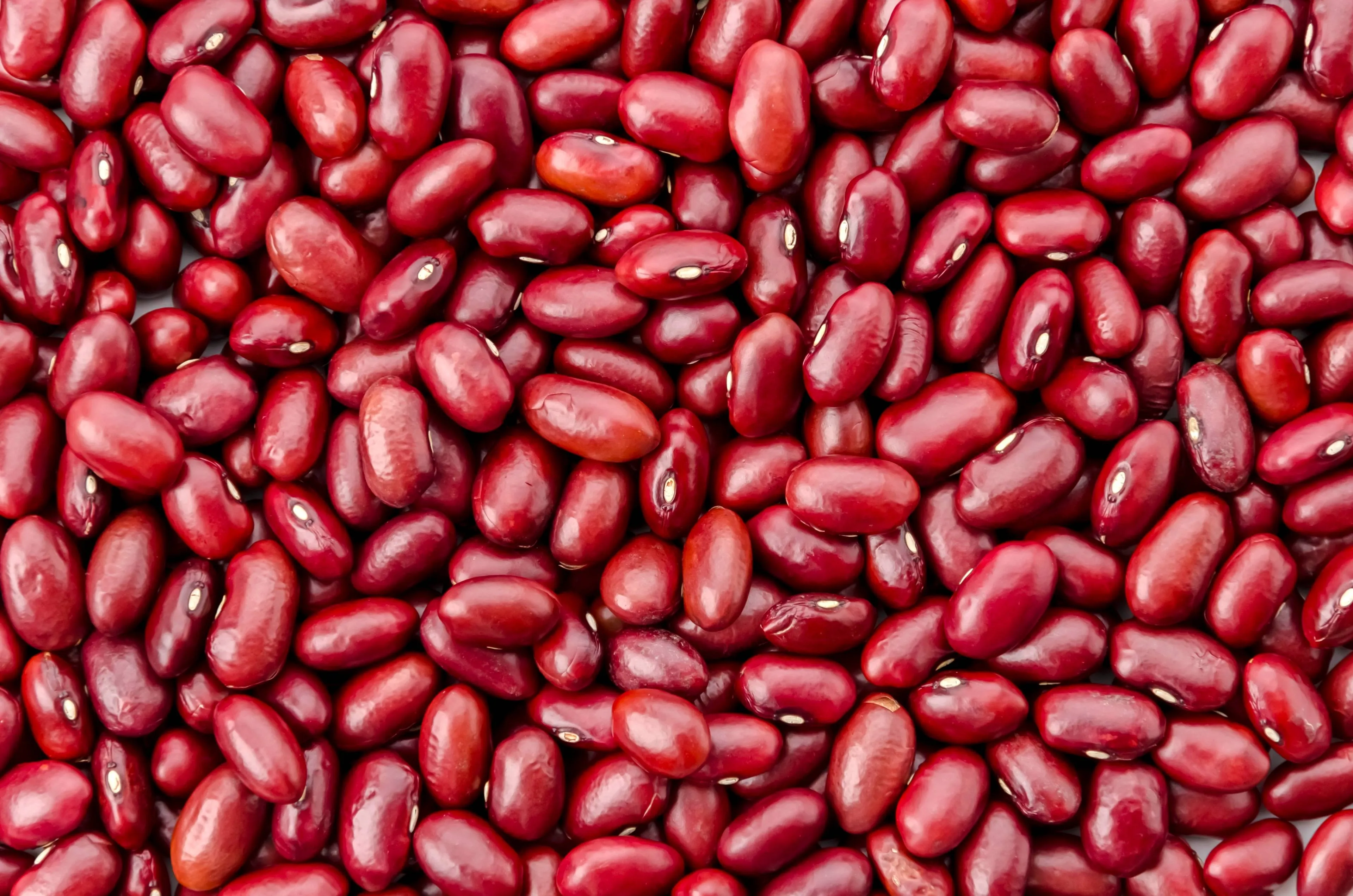shutterstock_2447074723