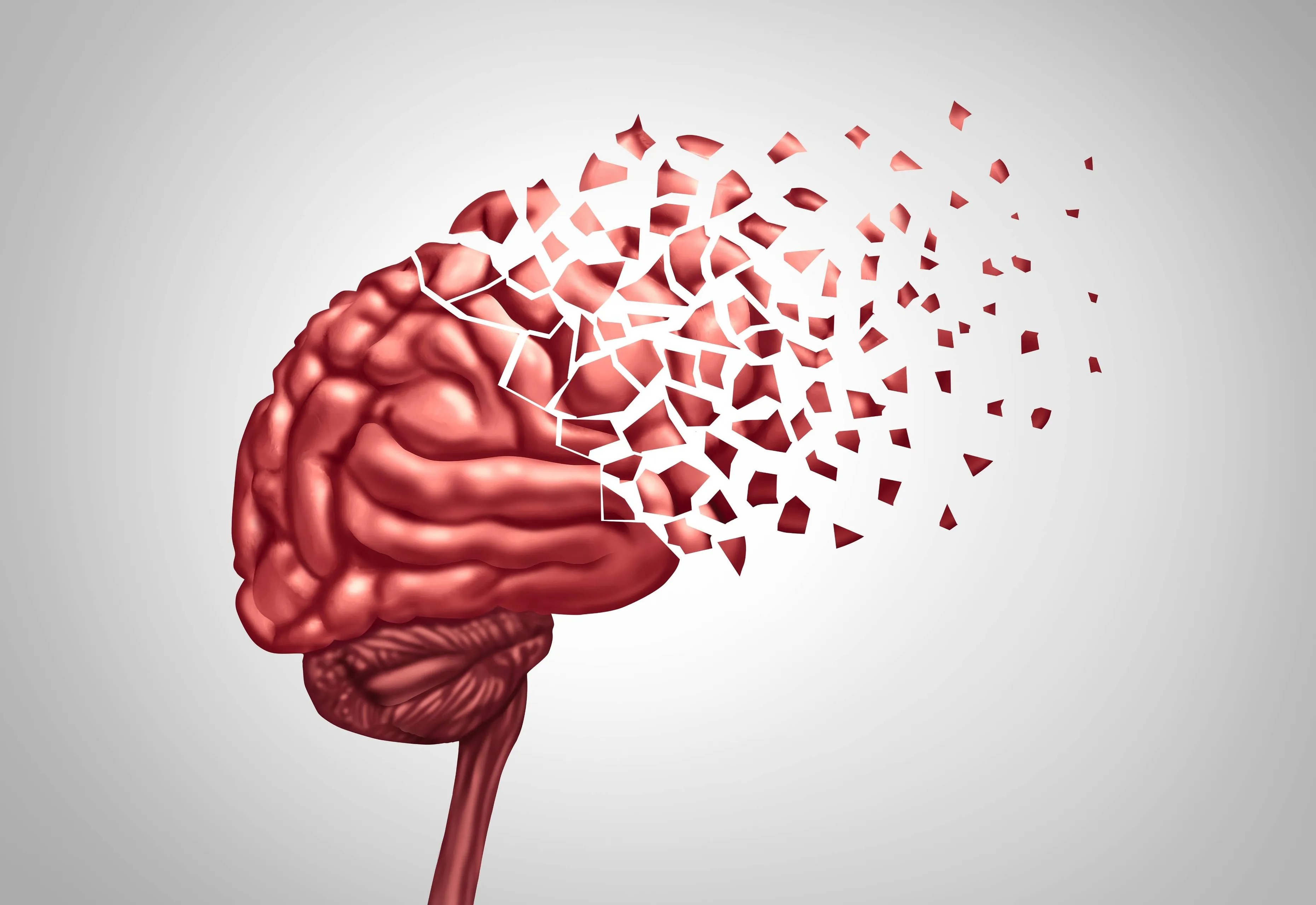 shutterstock_2615312019