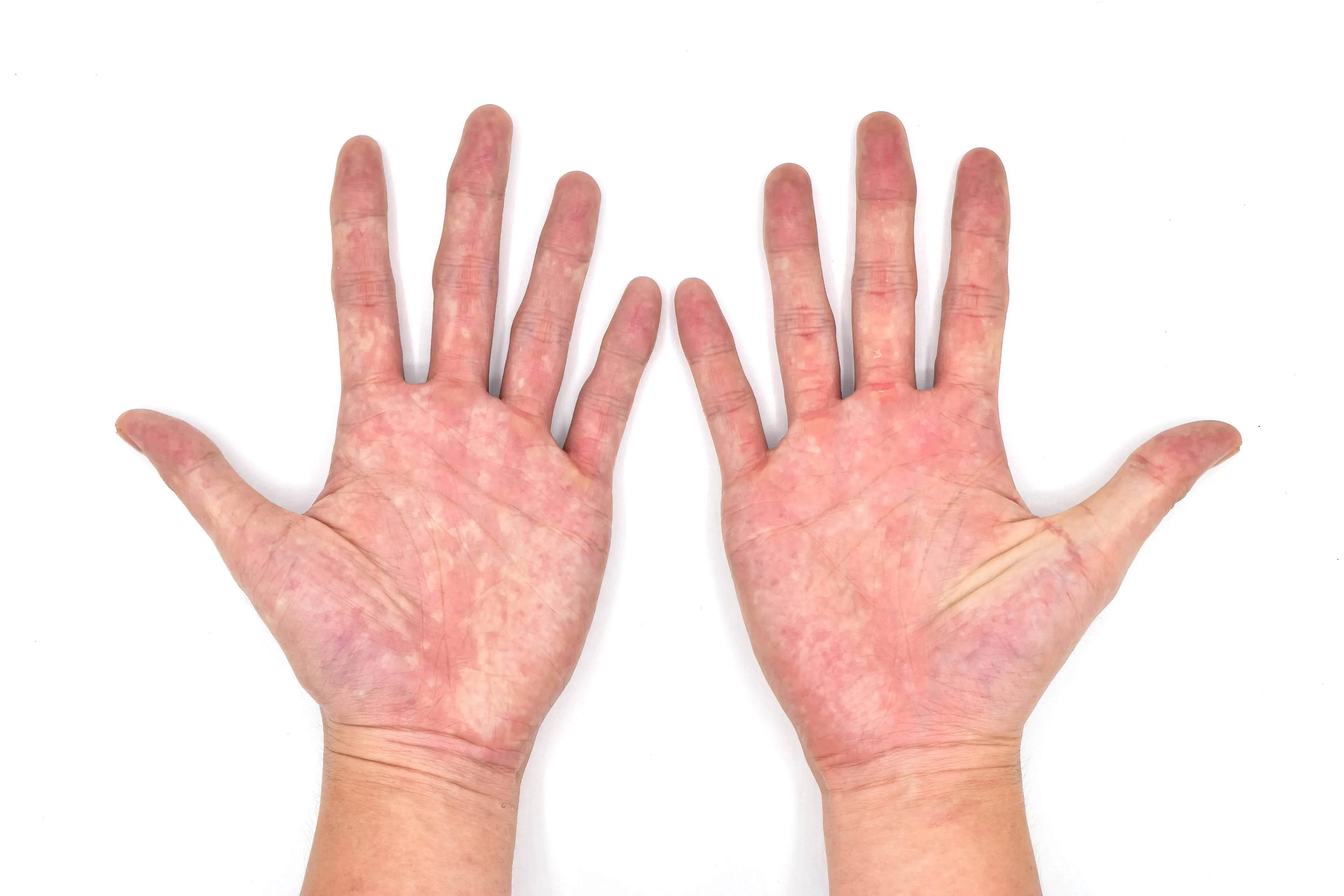 shutterstock_1653641029