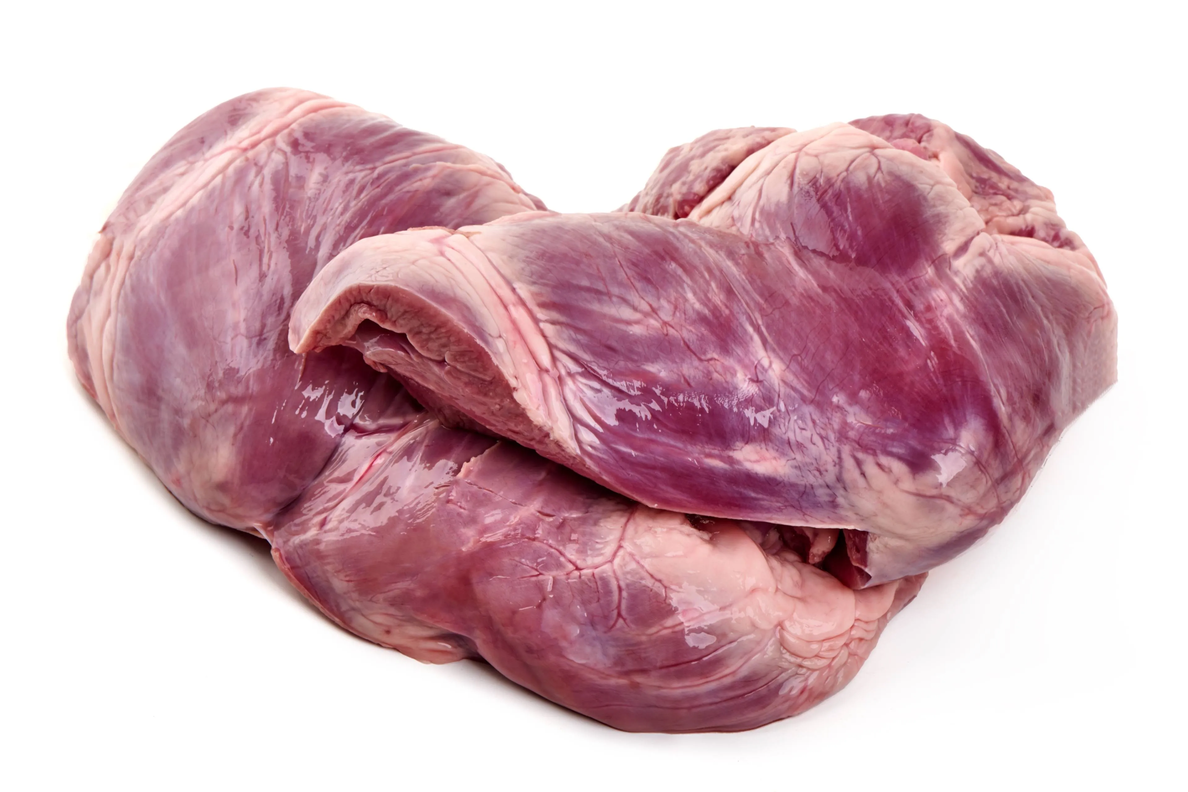 shutterstock_2563369691