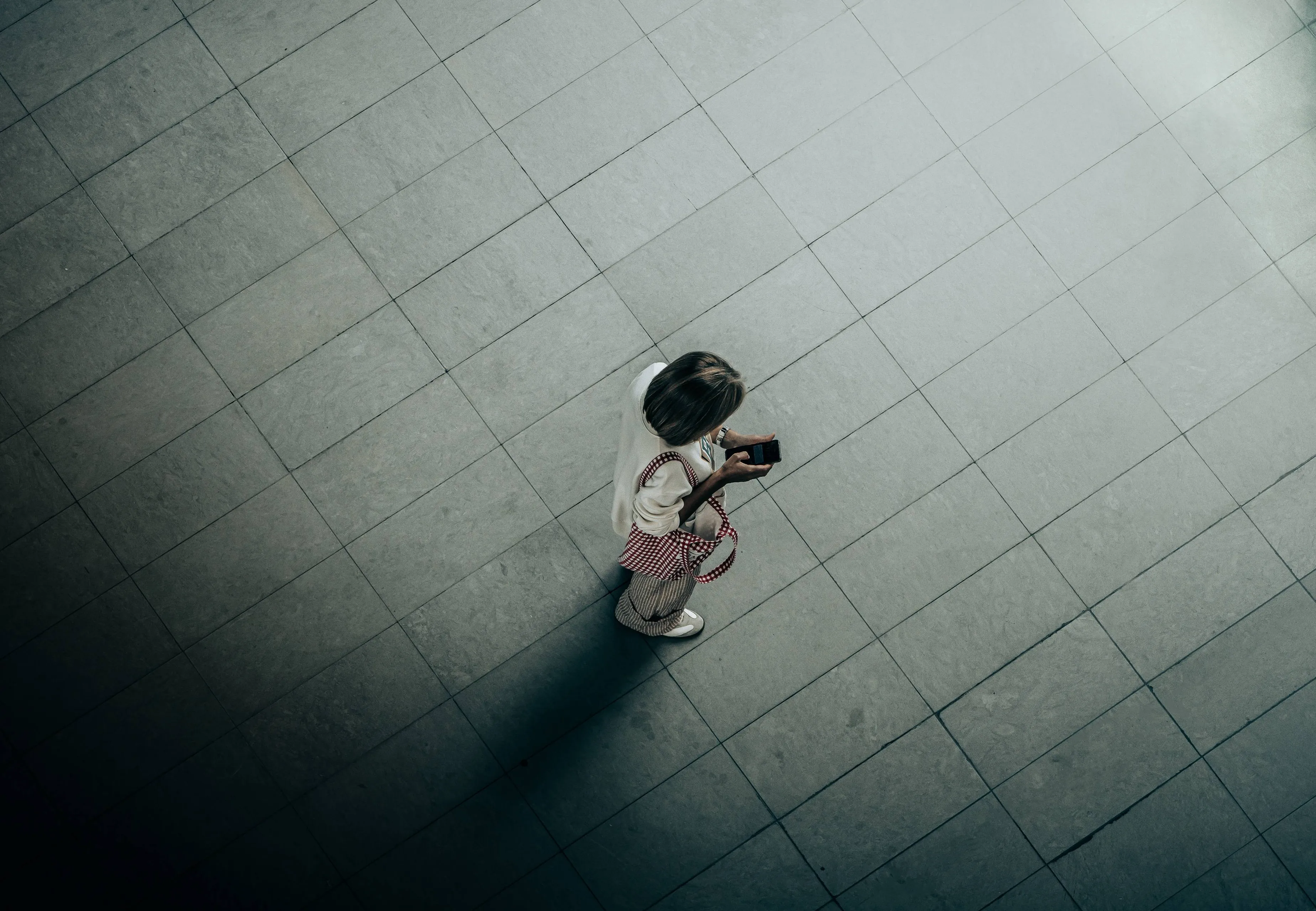 shutterstock_2664584053