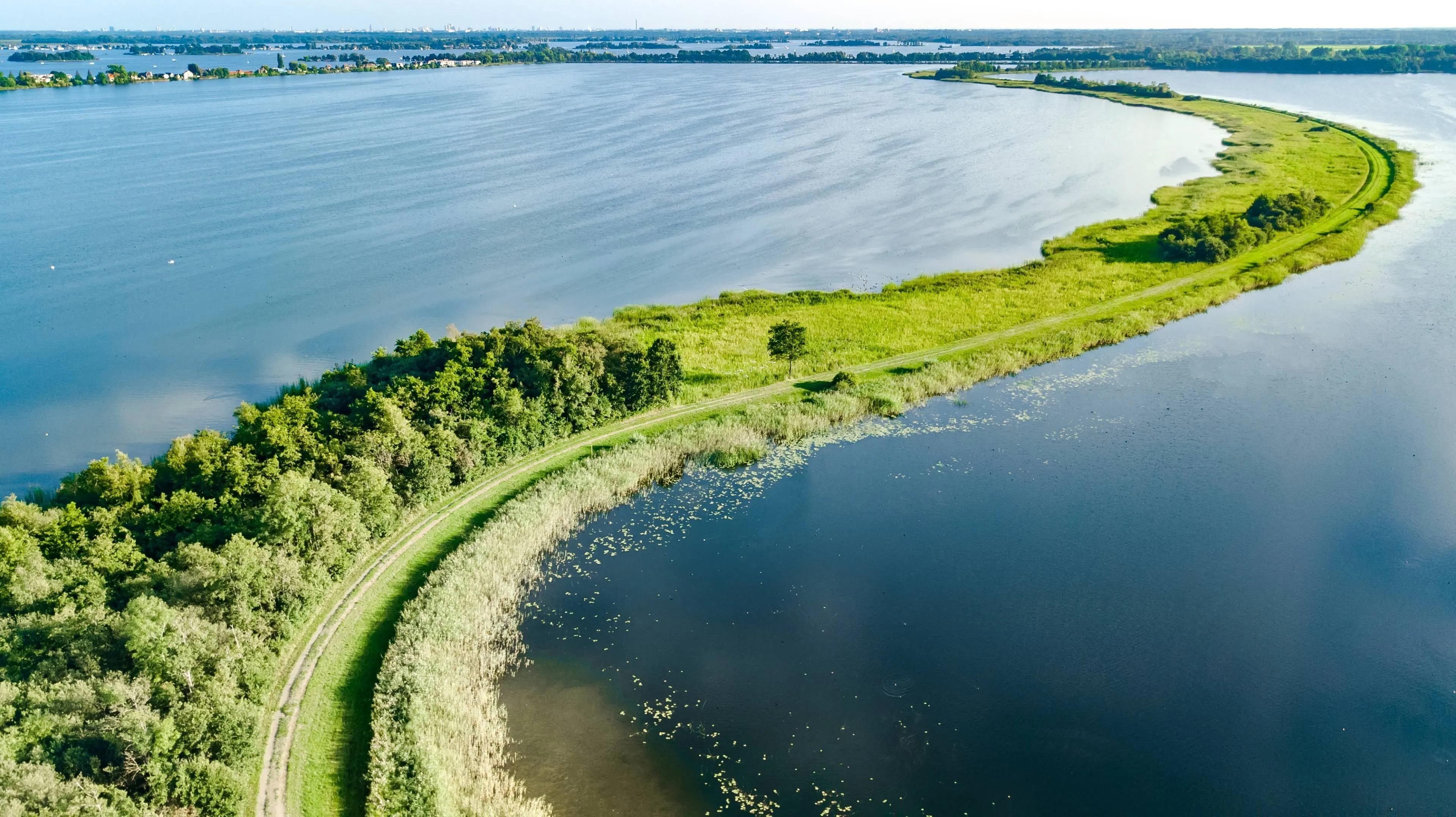 shutterstock_2328240841