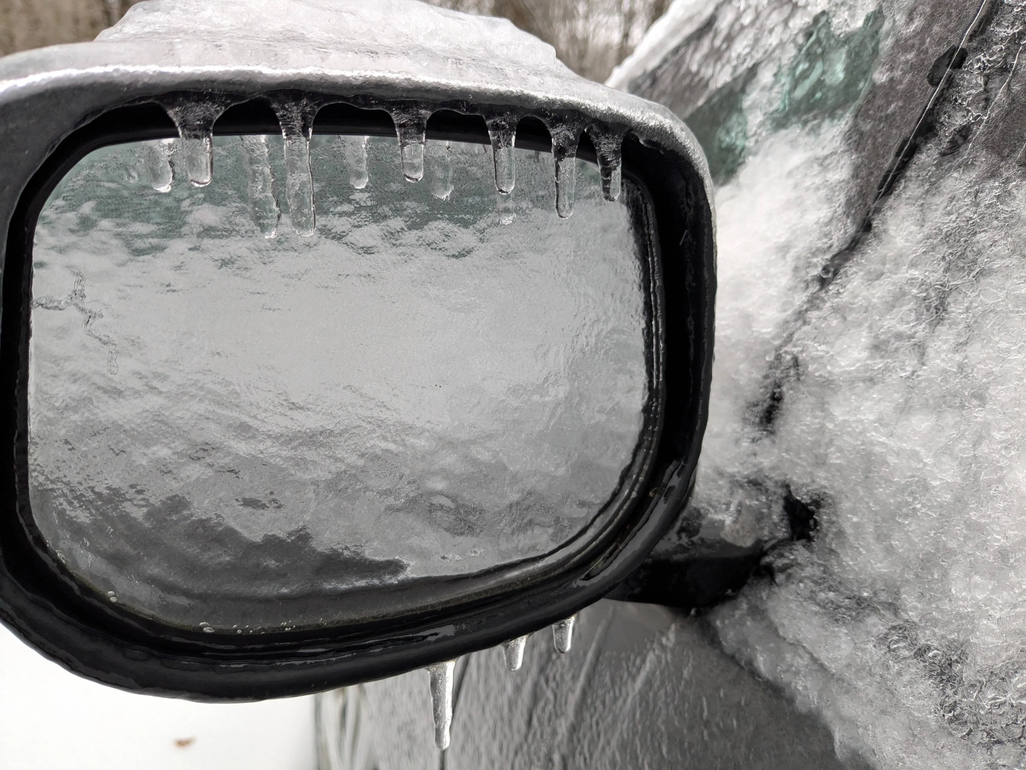 shutterstock_2587089047