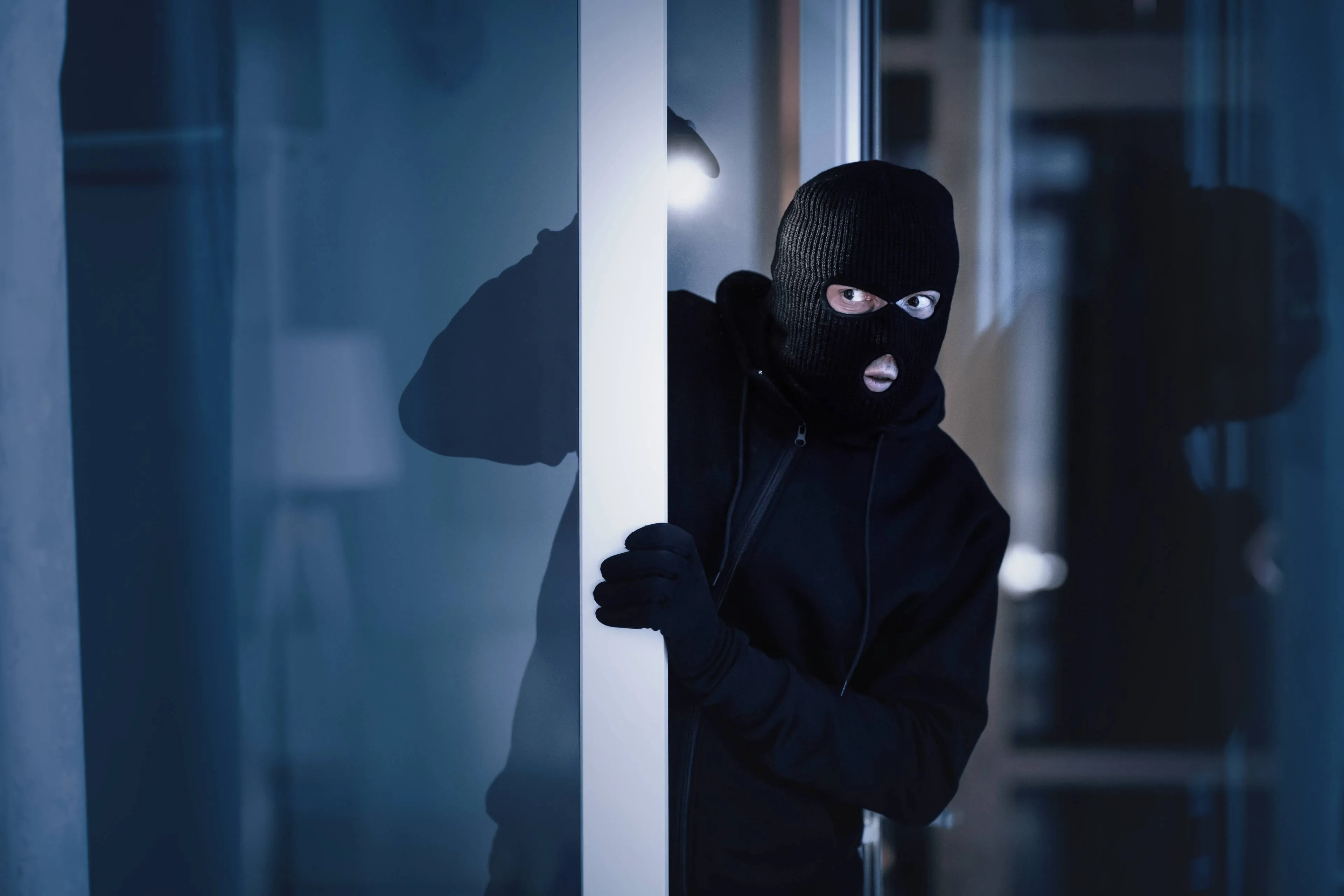 shutterstock_2590737901