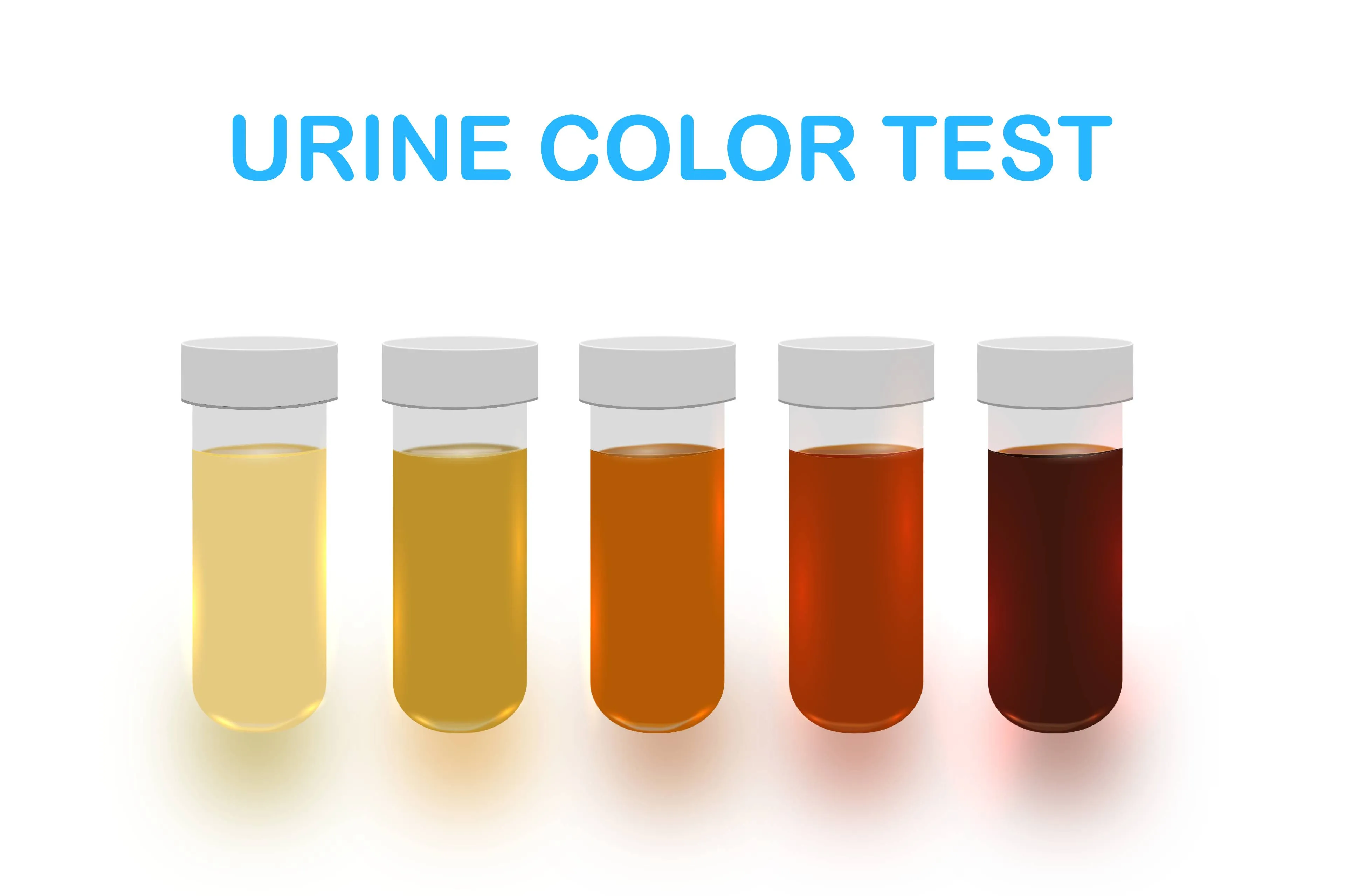 shutterstock_2662228787