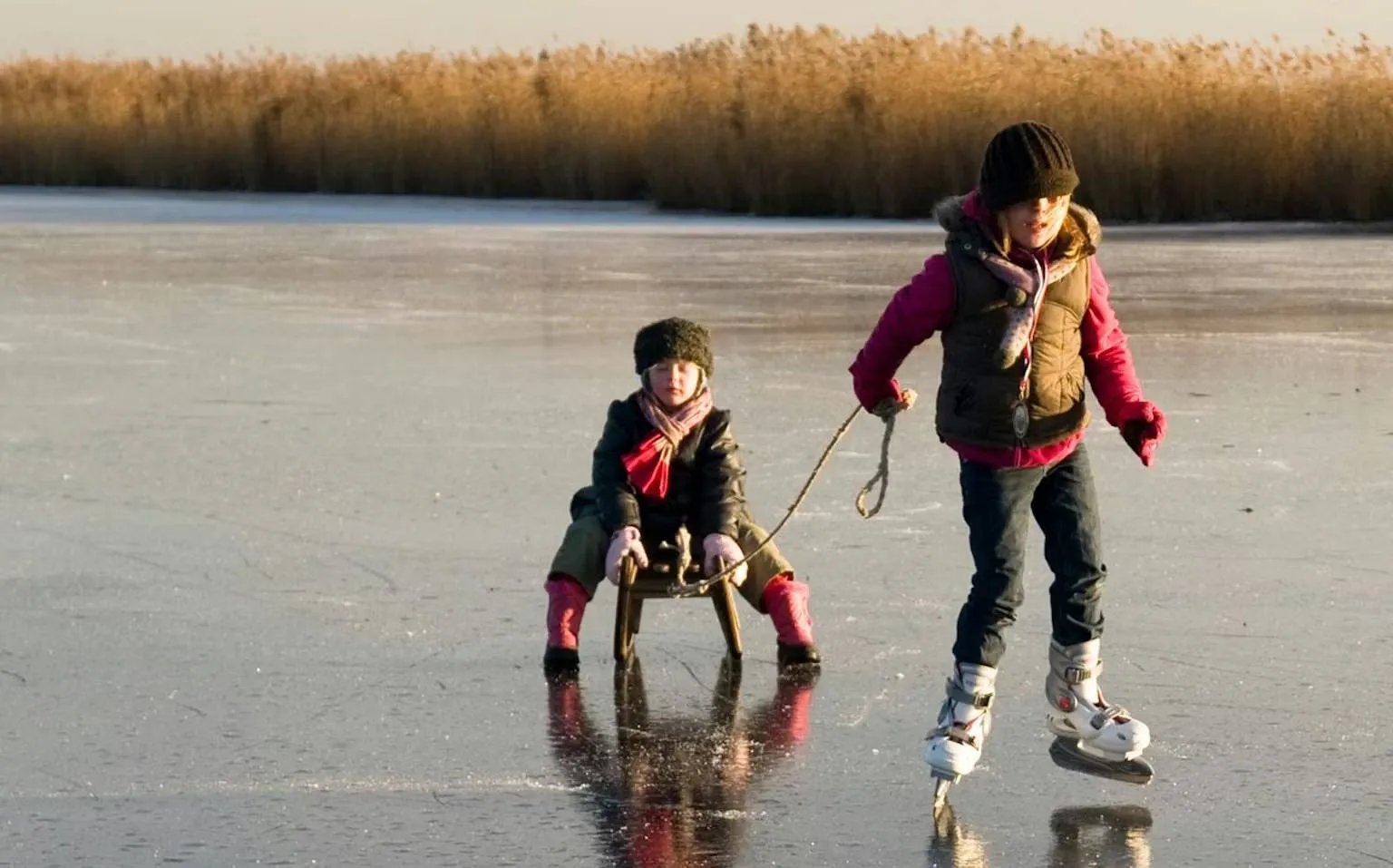 3b31e52a-49c9-44dc-ac7d-01aab220e6a0