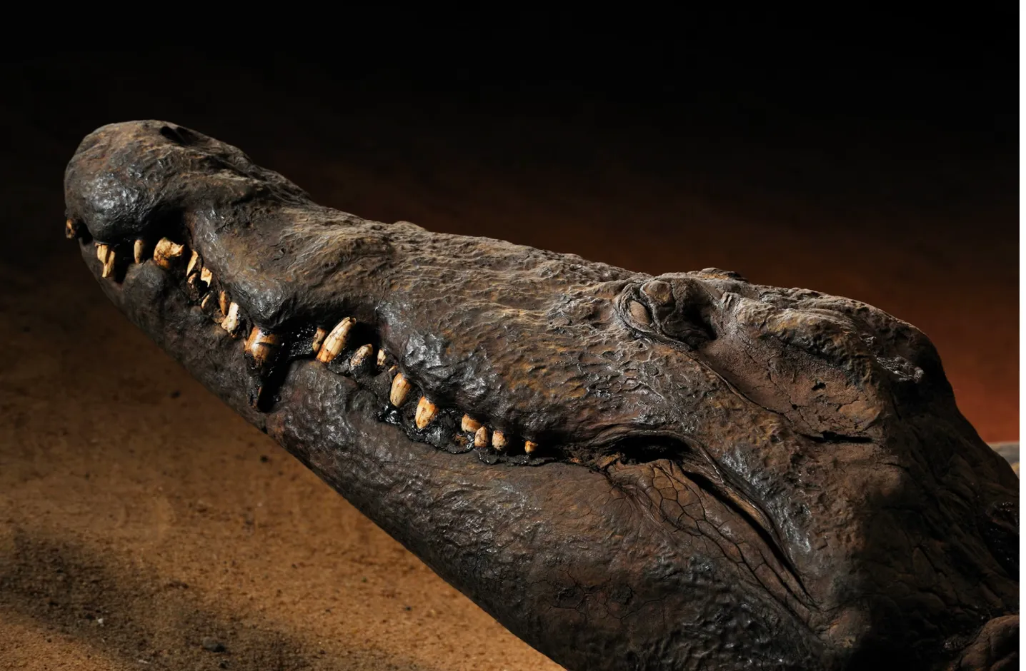 Scherm­afbeelding 2025-12-12 om 06.33.35