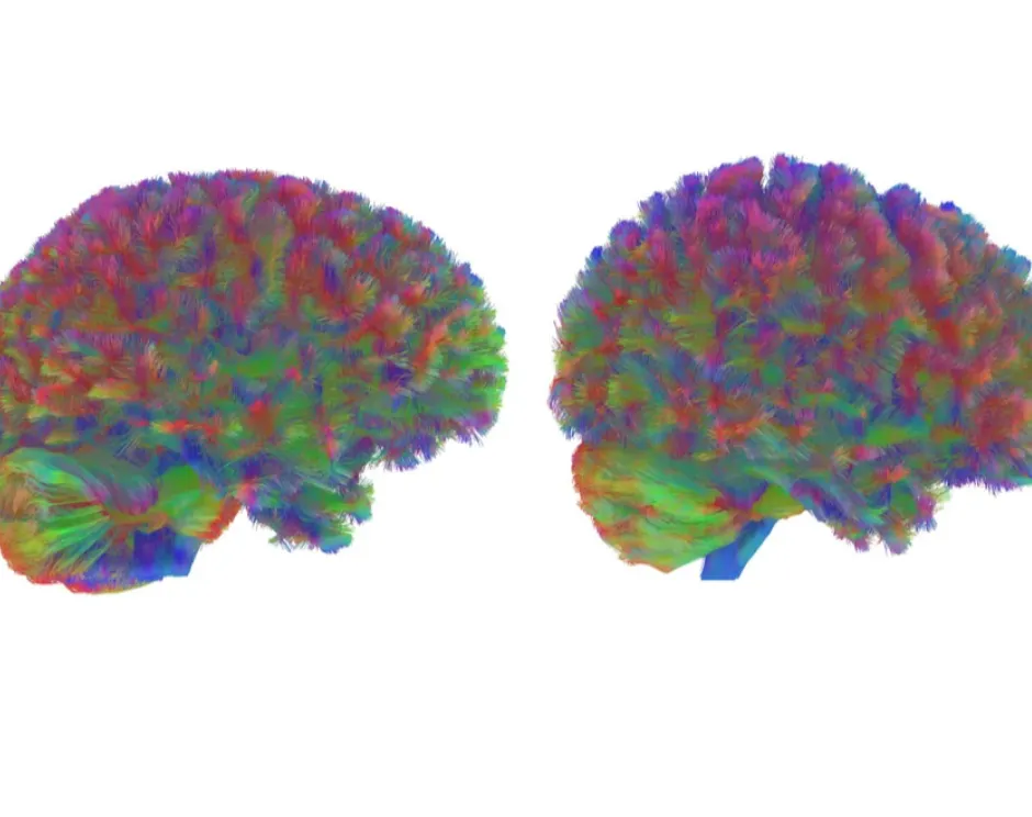 Scherm­afbeelding 2025-12-24 om 06.34.50
