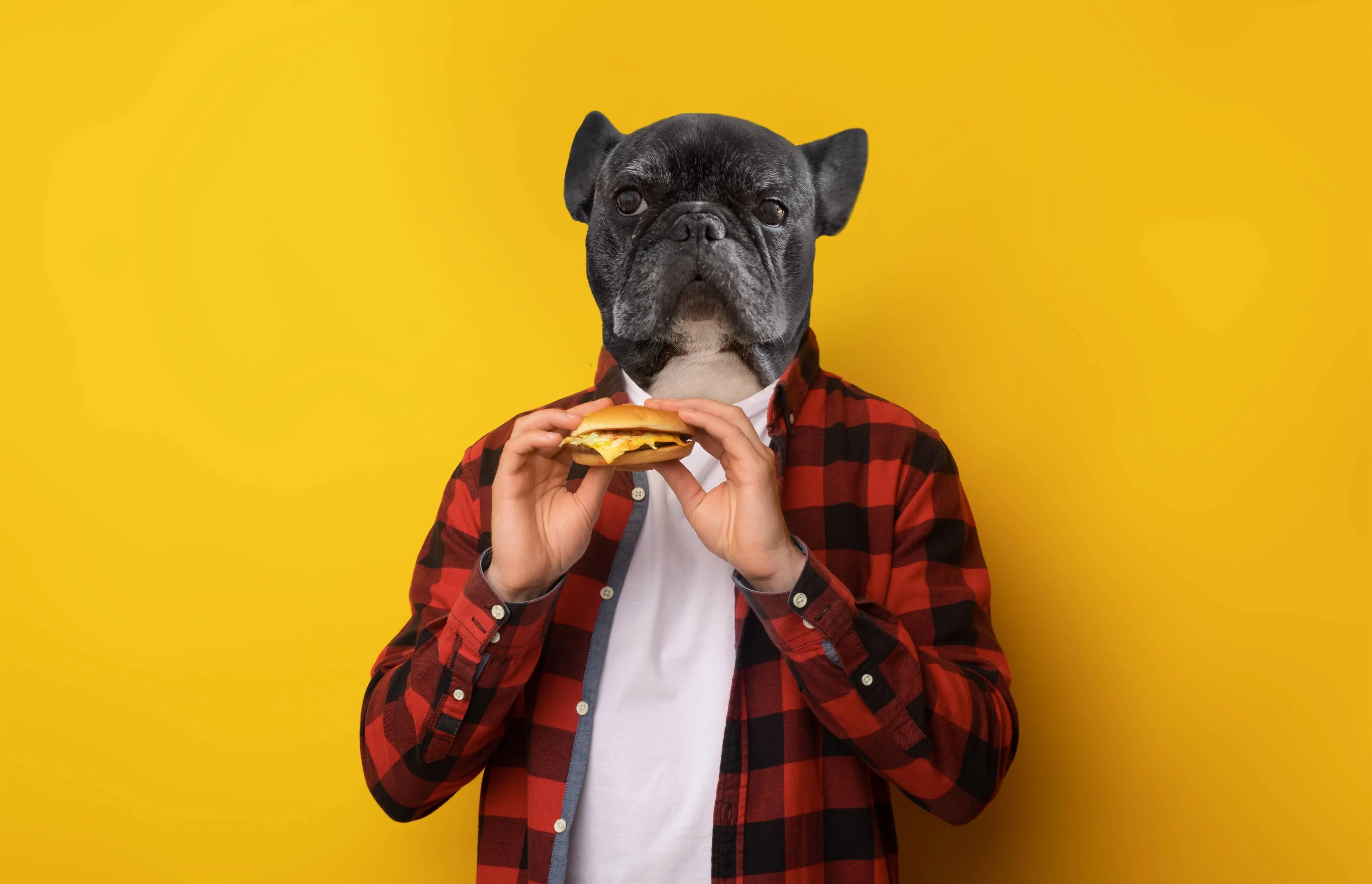 shutterstock_2508392419