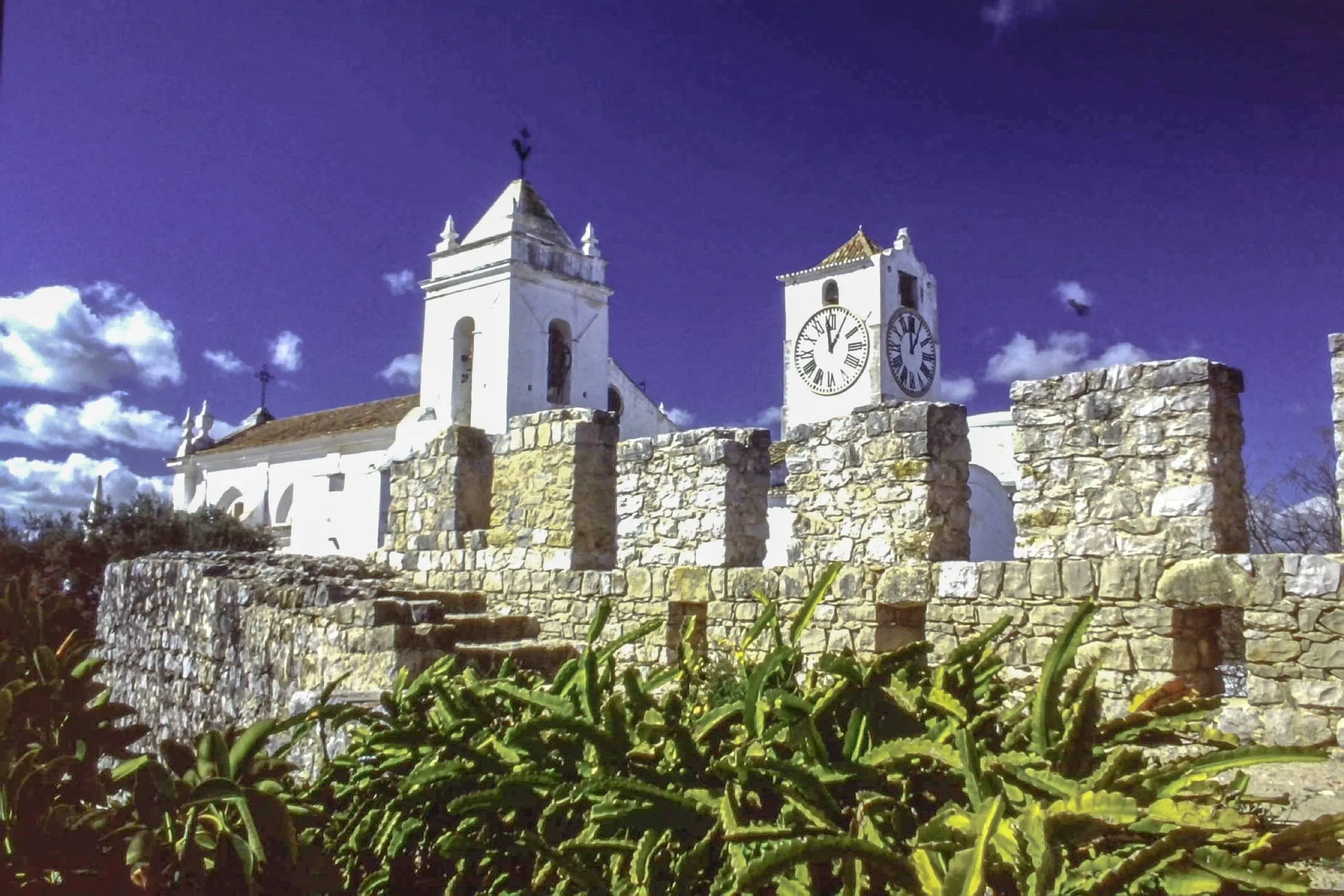 shutterstock_2674189913