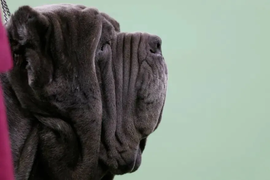 84ef61e4a5dd0cf04e8ee17a8192260d71137ae8-90981865