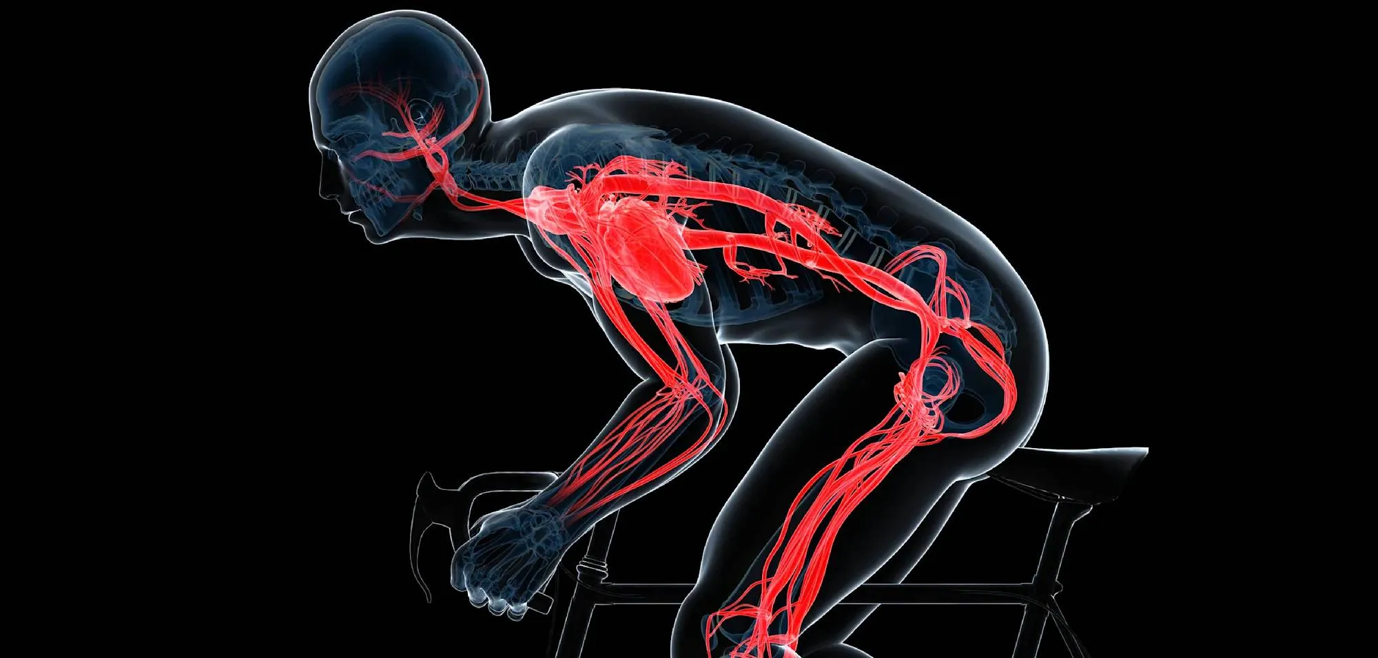 gettyimages-172591769-jpg