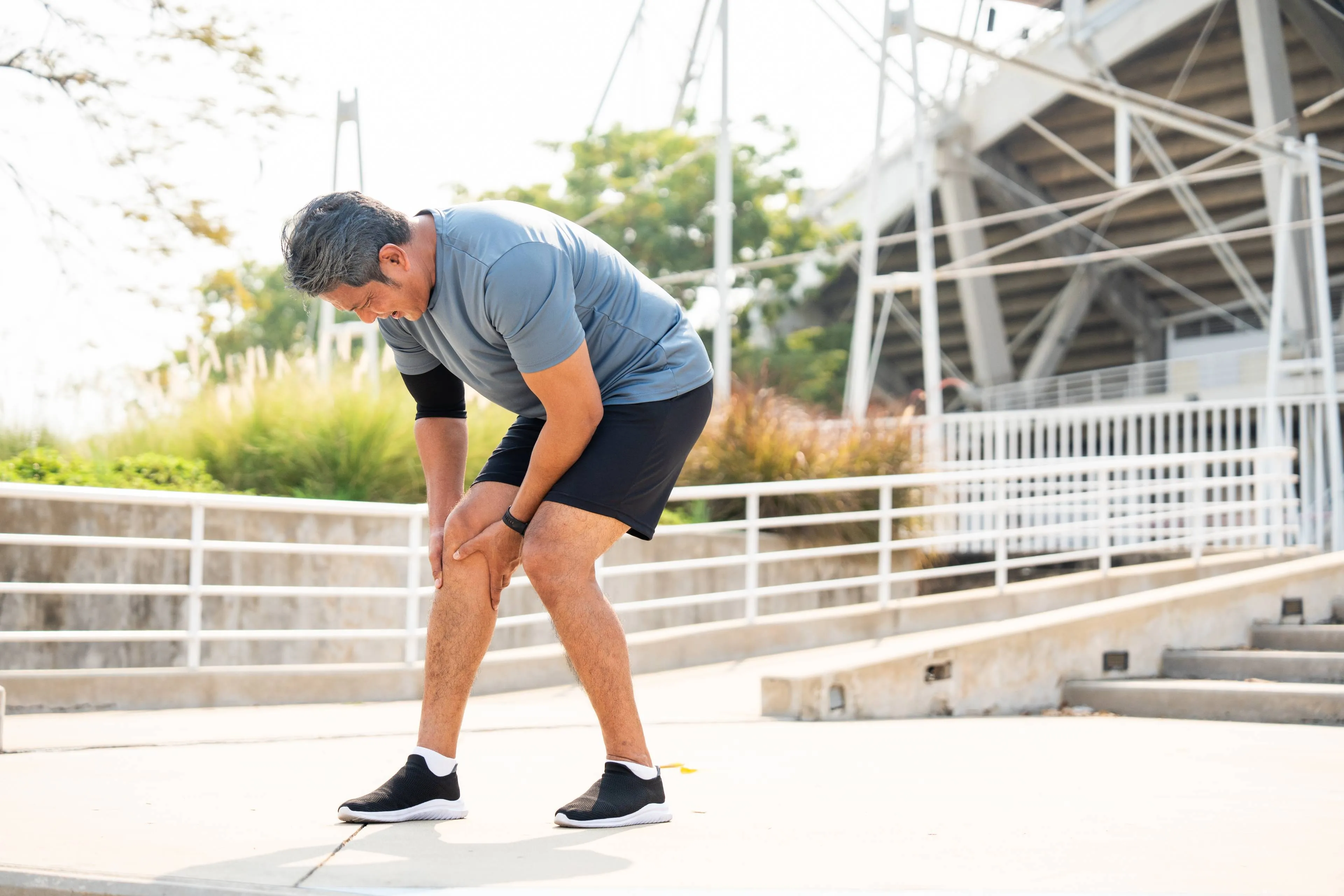 shutterstock_2622240149