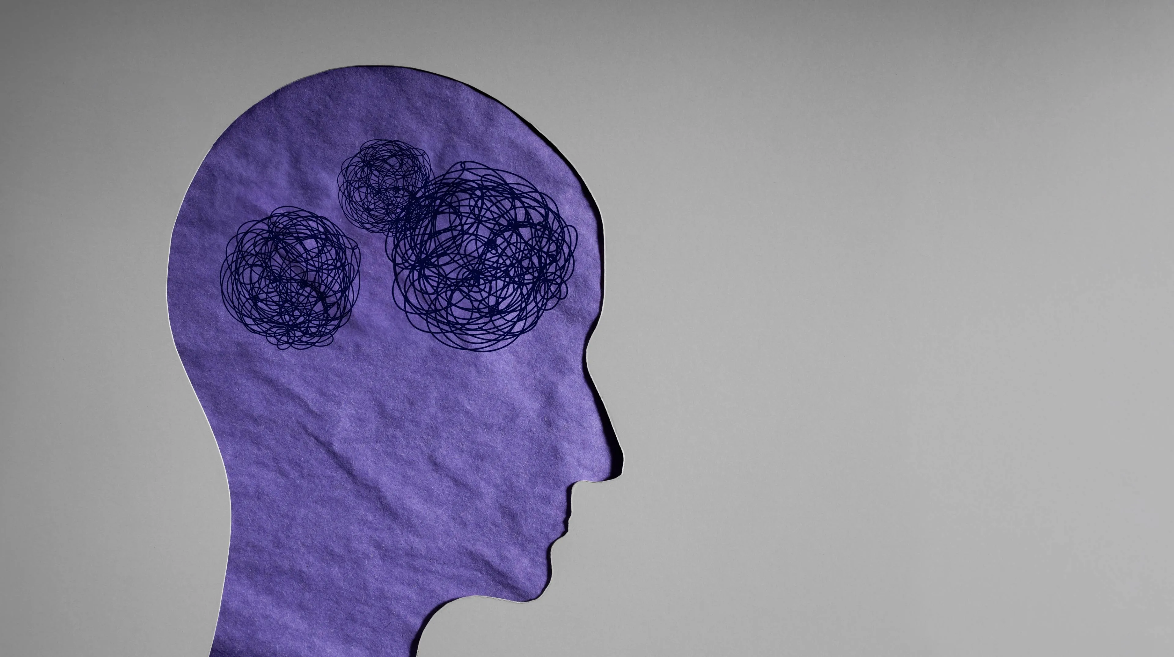 shutterstock_2750130021