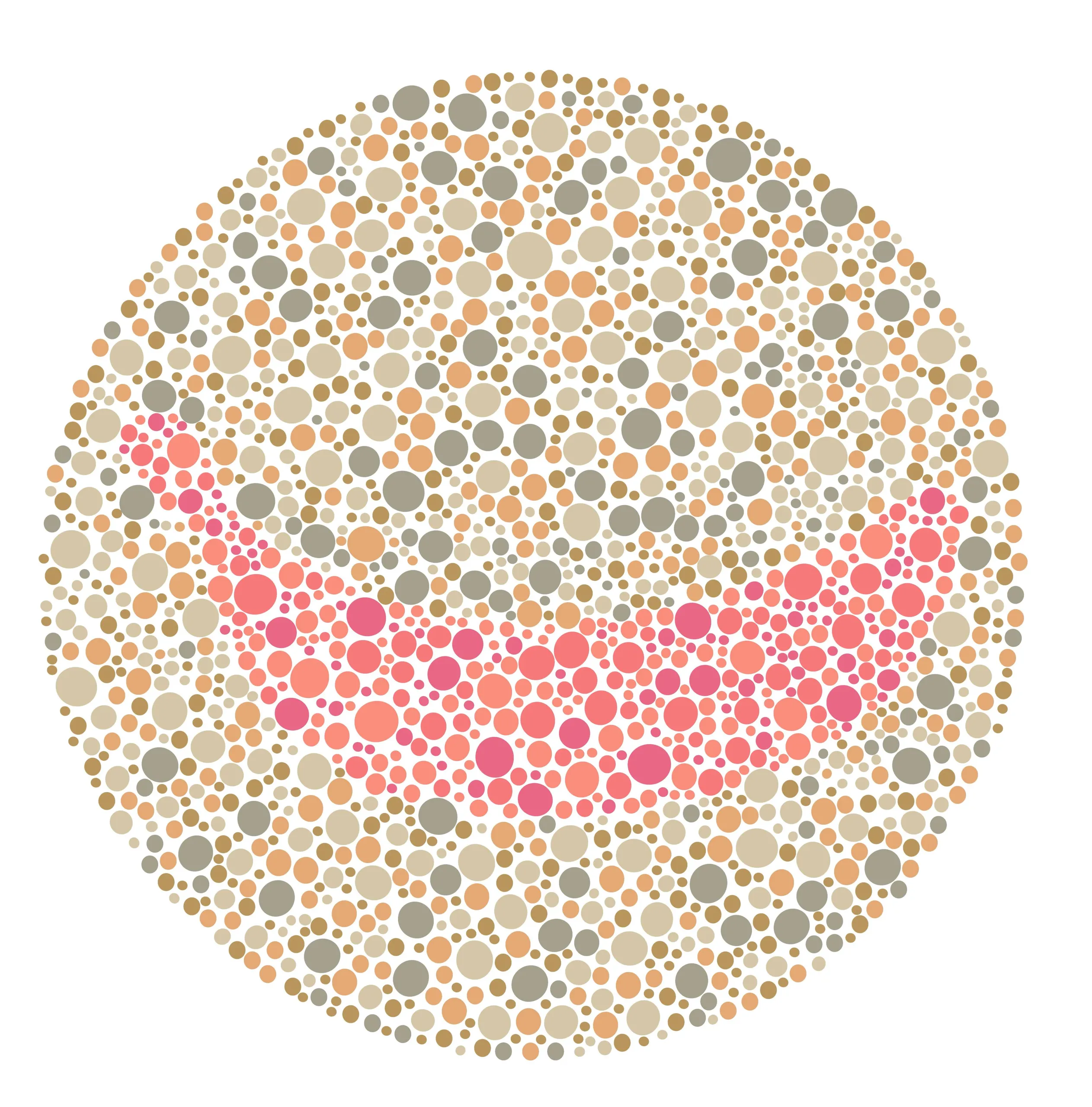 shutterstock_2640965565