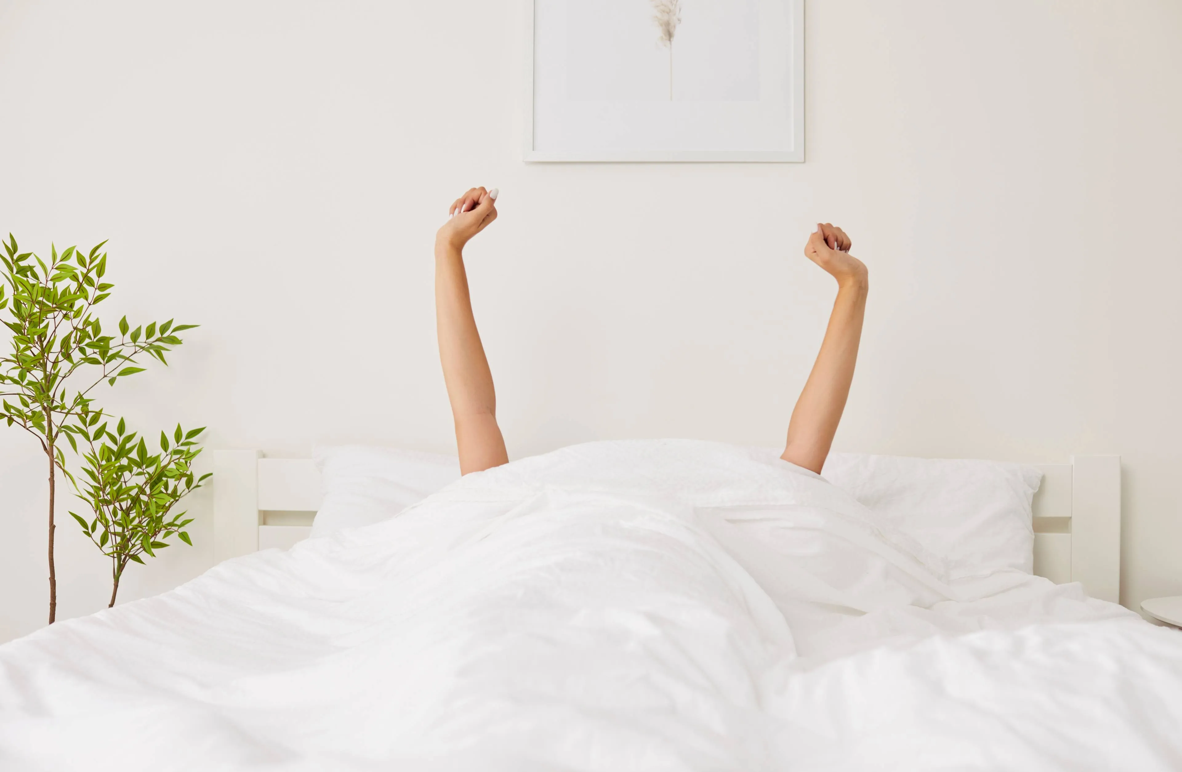 shutterstock_2674414387