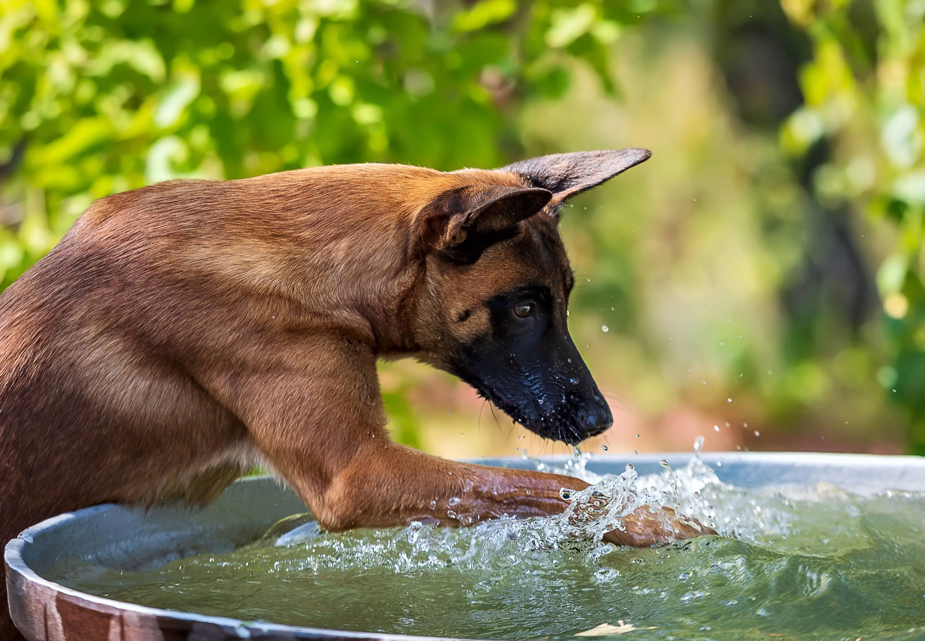 shutterstock_1638624178