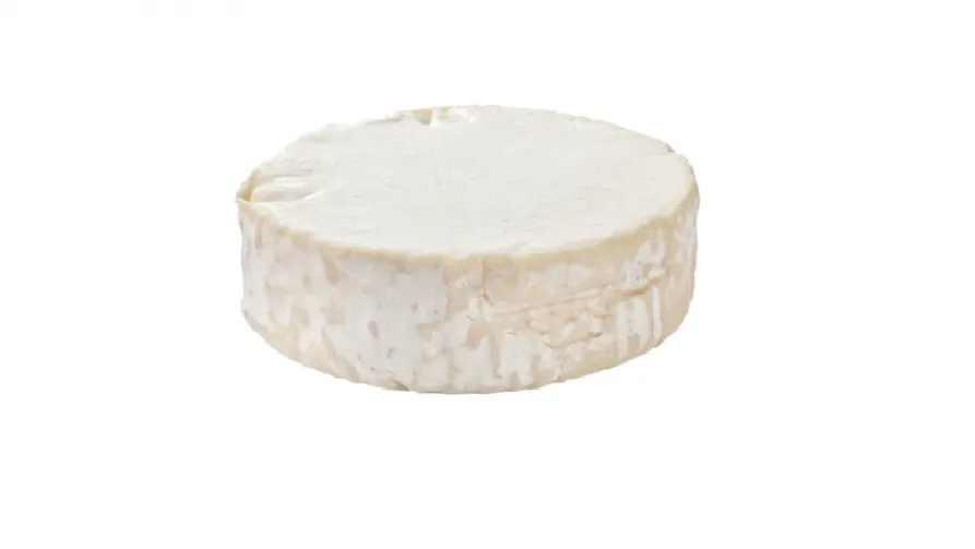 0 990939 plus chevre buche geitenkaas met korst