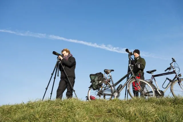 13 februari 2016 petereekelder 1055 sovon telprojecten 45x30 1