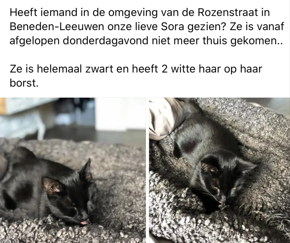 1547460 099k3n8b xlwmjpg e1576526286715