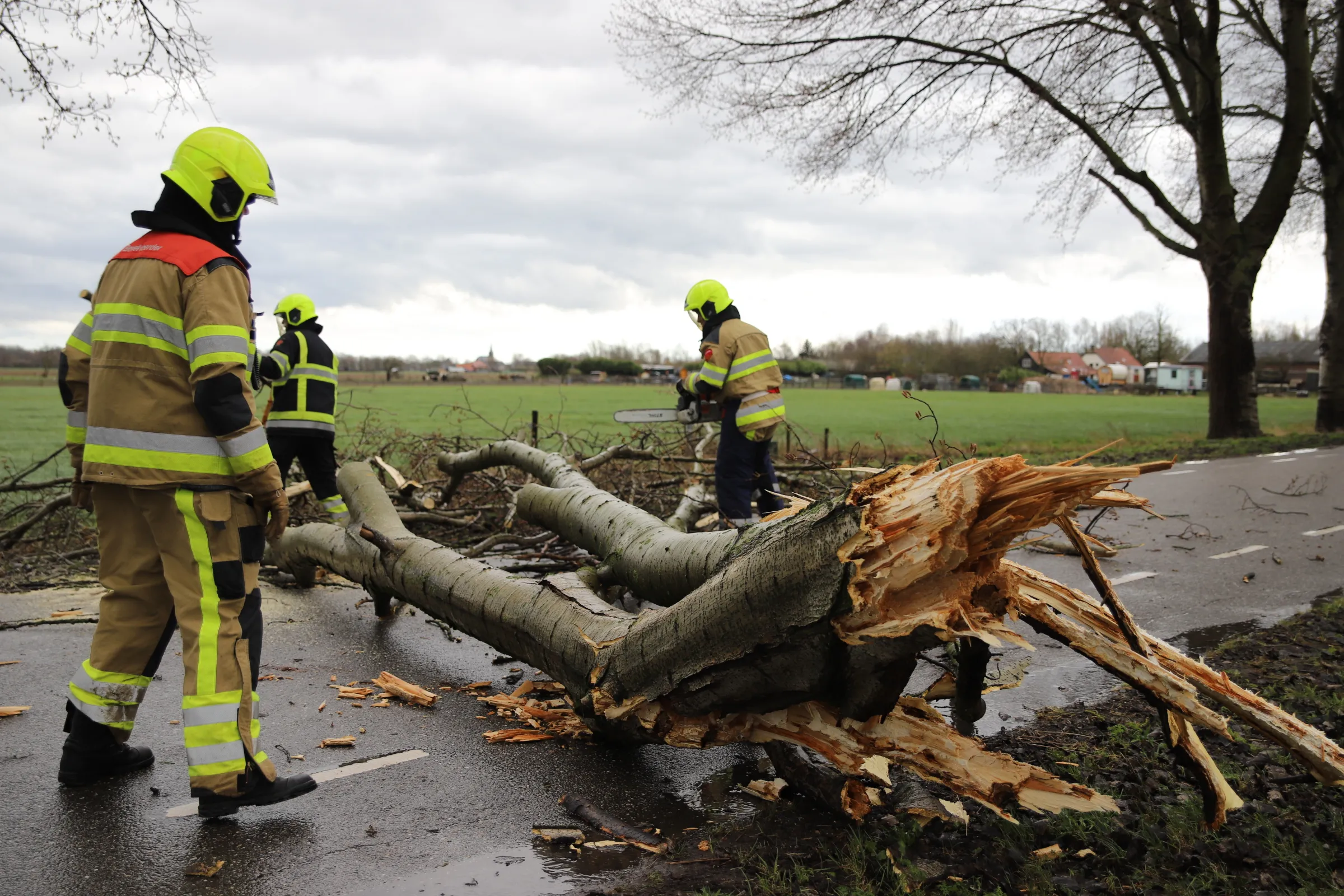 20210313161544 img 0687