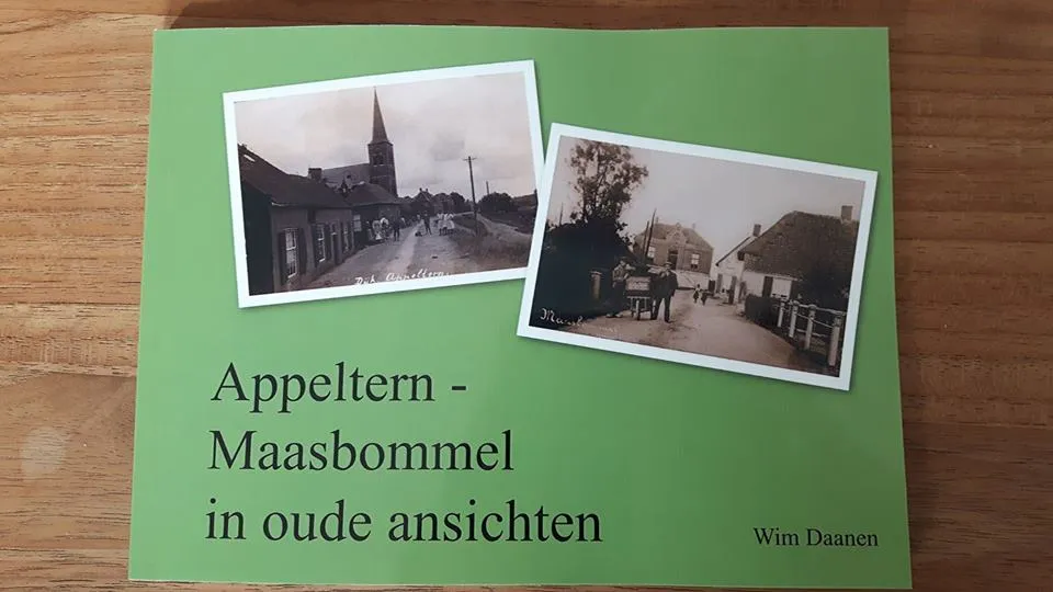 21761974 1143126859157653 2862802897557954537 n