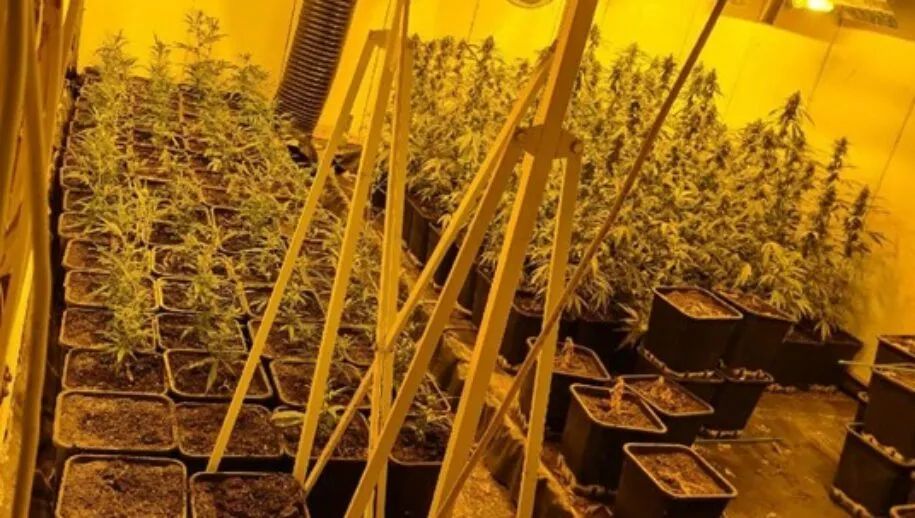 270254391 283235733834513 2252415887716076087 n 915x518 1