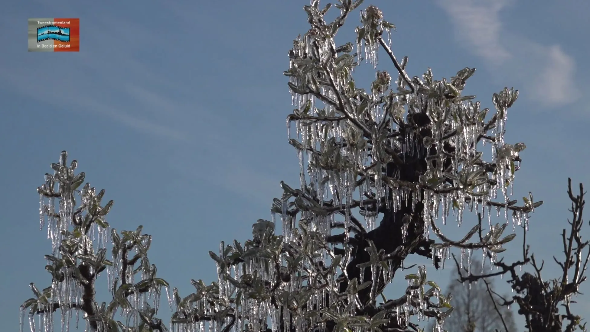 277800261 549226380155023 6953352642748773203 n