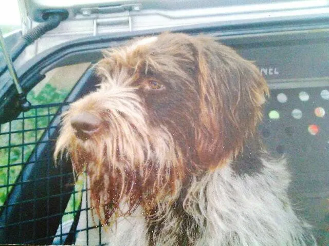 28166283 1837893782890348 8690272562580592383 n