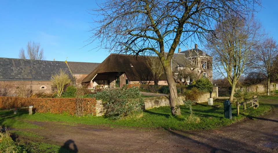 28685143 1613484102060652 112337841744248832 n