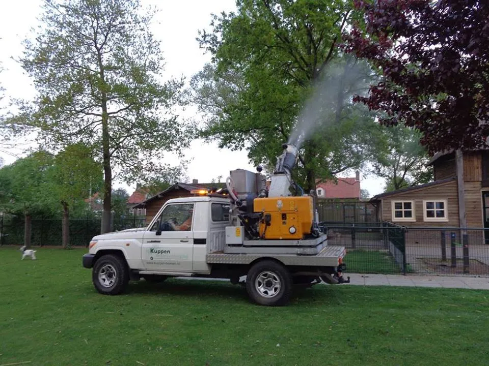 31171550 1605243766238308 8300933535506628608 n