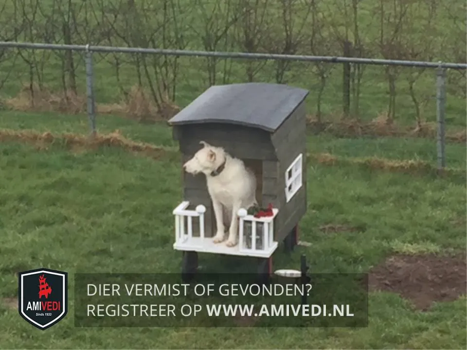 32744233 1596645417101352 1238977509458968576 n