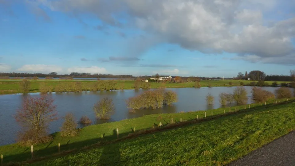 33087642 1690917827650612 6386744406422061056 n