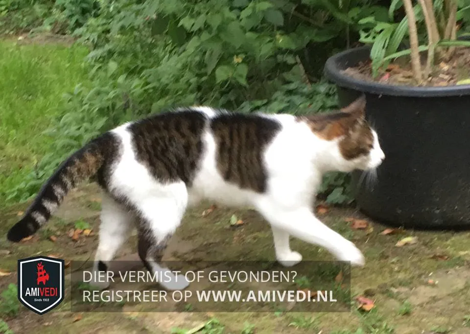 42190359 1772373182861907 3284183645245407232 n