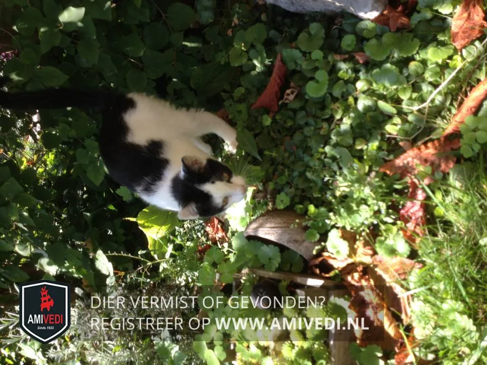 49393456 1914916355274255 5553634035055460352 n