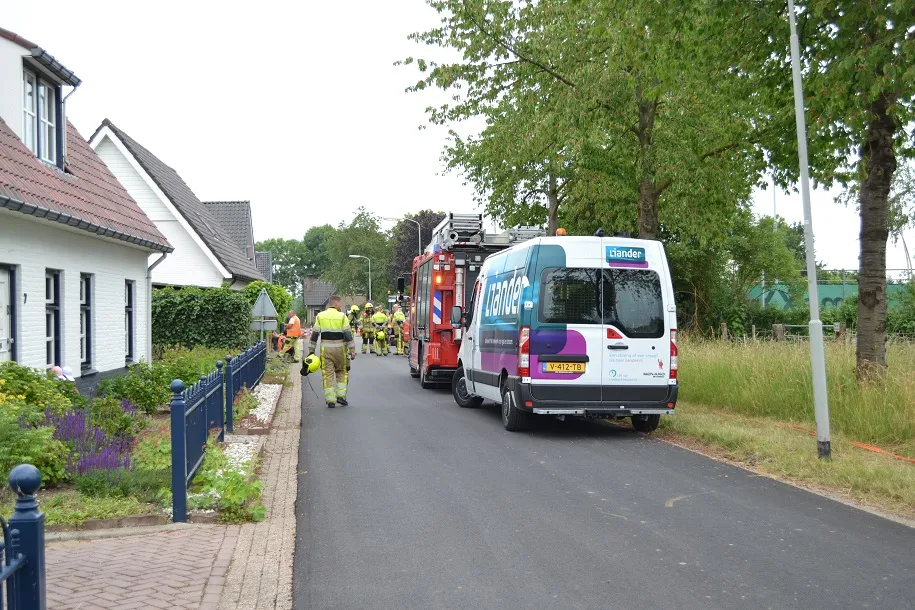 4d7199a0 9340 42e4 ba3d bd6707331469