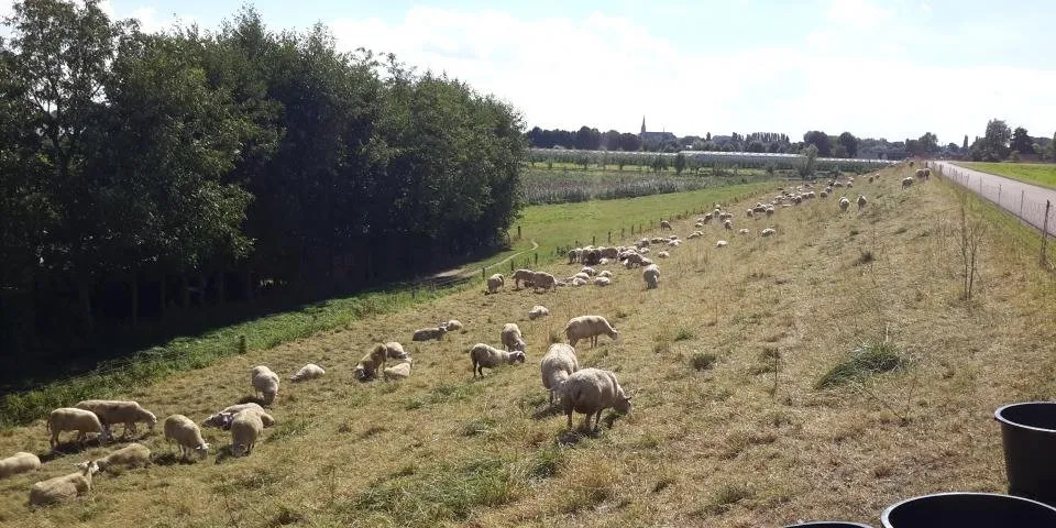 8890da2f a027 4009 871f 458b62c3ff95