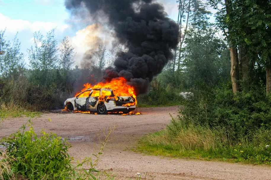 896efa5b 51f3 4446 bd1d 6fd76b8c8ee4