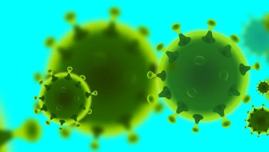 corona 4928668 1280 915x5181