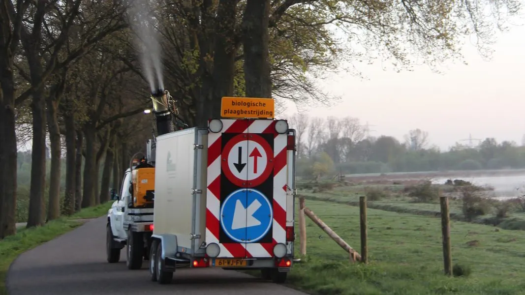 de gemeente beuningen bestrijdt eikenprocessierups e1525547284347