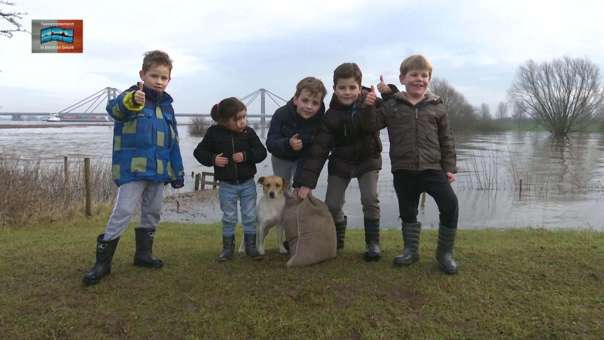 de waal duikt in zijn winterbed foto jos kruisbergen