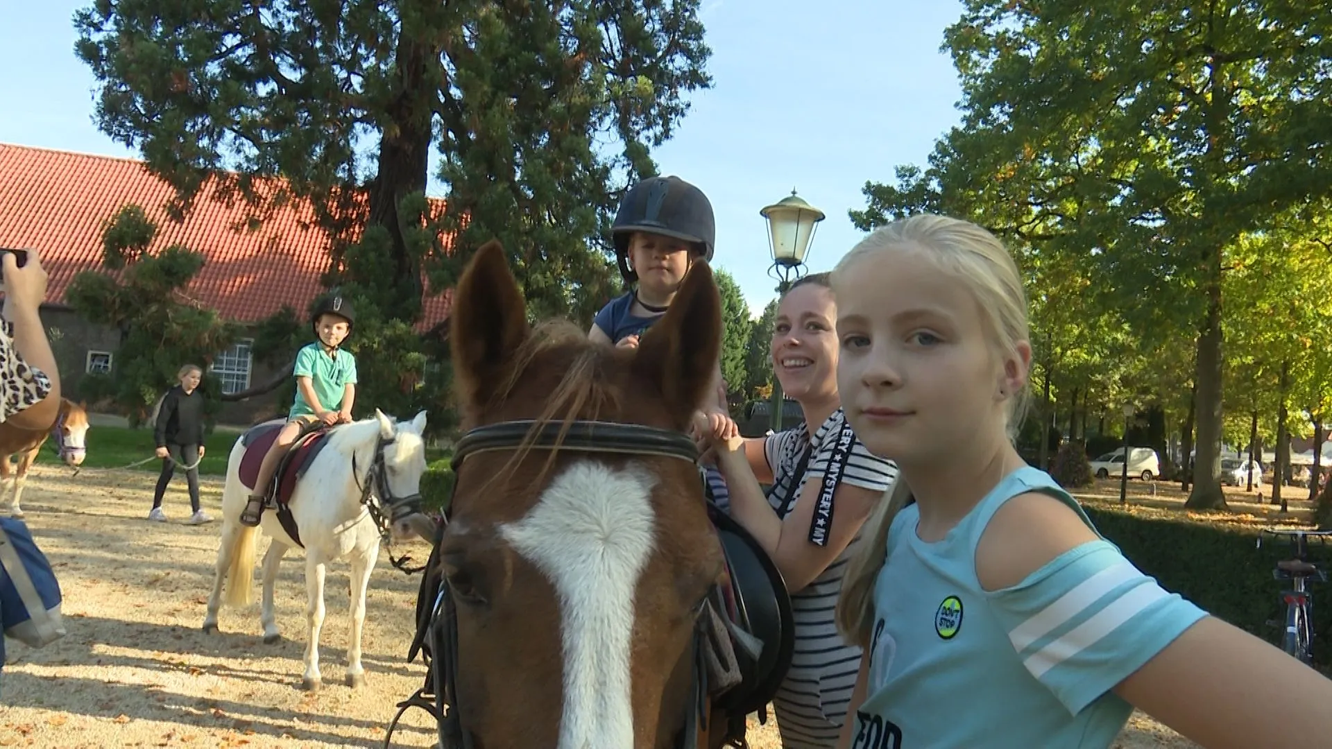 foto wijchense paardenmarkt